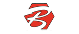 Bangla IP logo